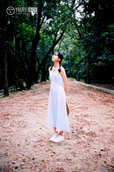 包公出巡之明镜高悬